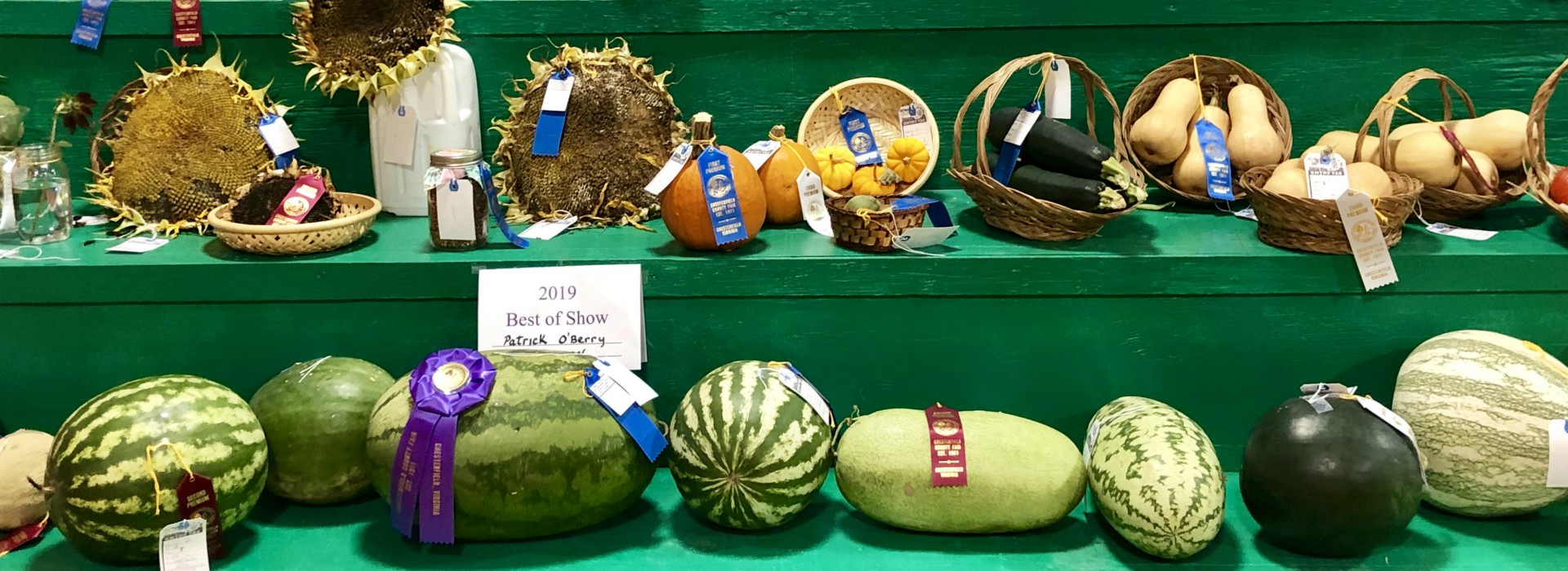 Home Chesterfield County Fair