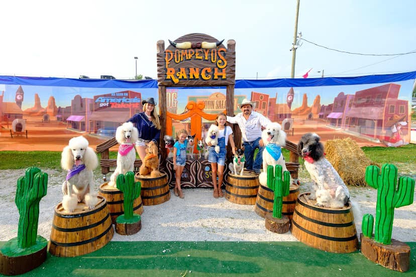 Pompeyo Family Dog Show