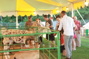 Petting-Zoo