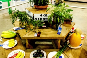 4-H Display