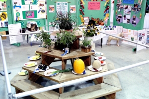 4-H Entries