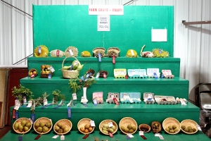 Vegetable Entries