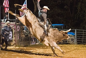 Bull-Riding