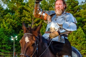 Knight on Horse by Paul Diming
