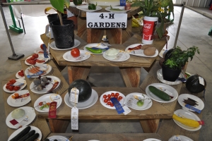 4-H-Gardens