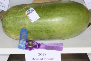 Best-in-Show-Watermelon