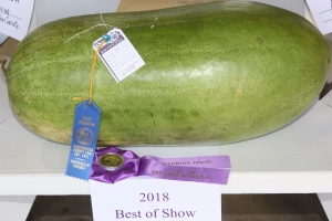 Best-in-Show-Watermelon