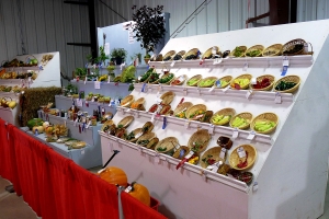 Vegetables