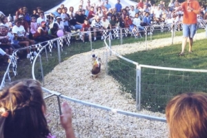 2003-Duck-Races